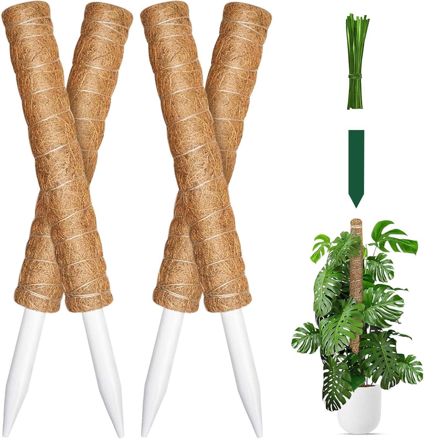 Lot de 4 bâtons de mousse pour plantes grimpantes d'intérieur, 160 cm pour Monstera, support en fibre de coco pour plantes en pot