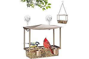 Glass House Bird Feeder for Window with Strong Suction Cup Hooks