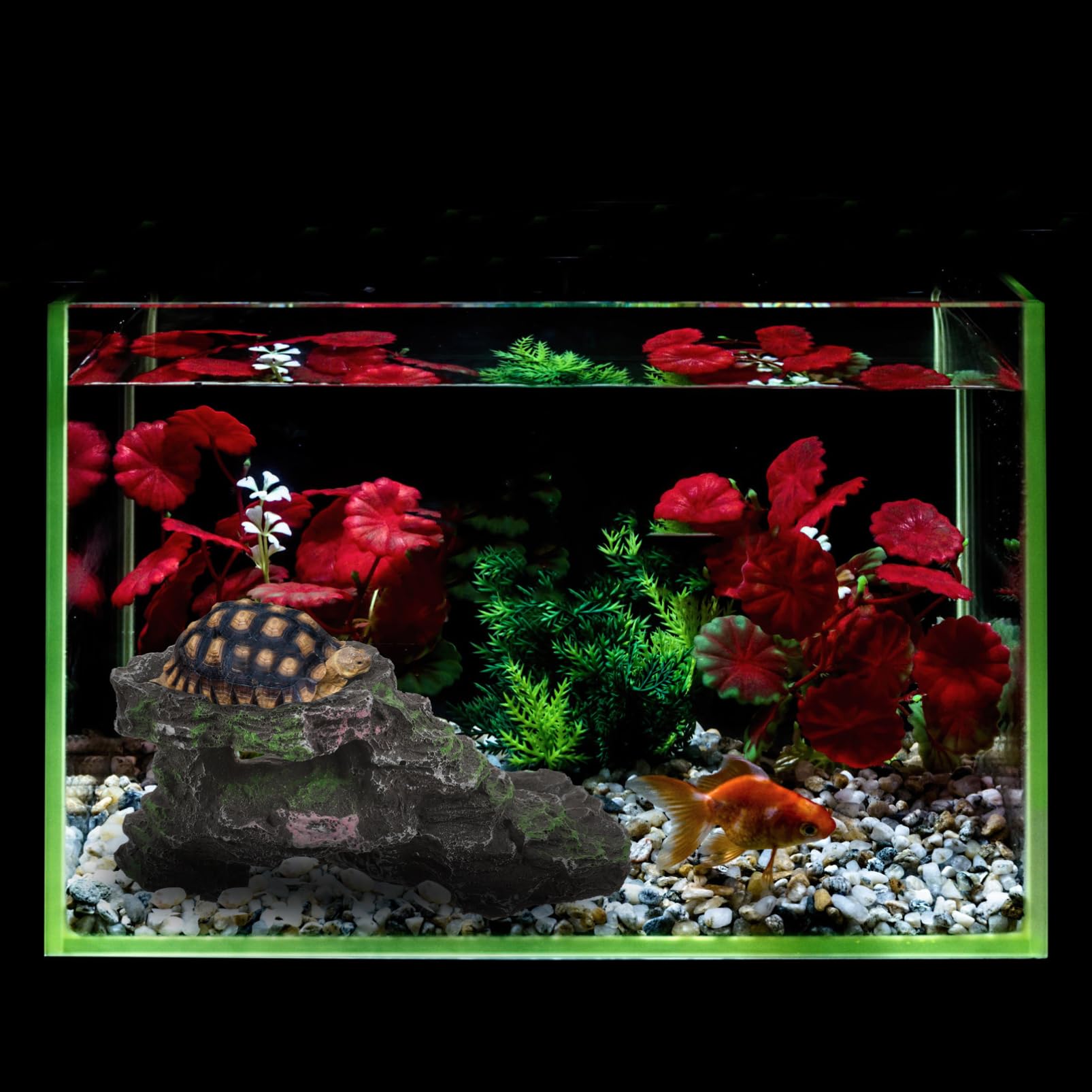 Toddmomy Aquatic Turtle Tank Accessories Basking Platform Sturdy Resin Pet Climbing Shelter for Reptiles
