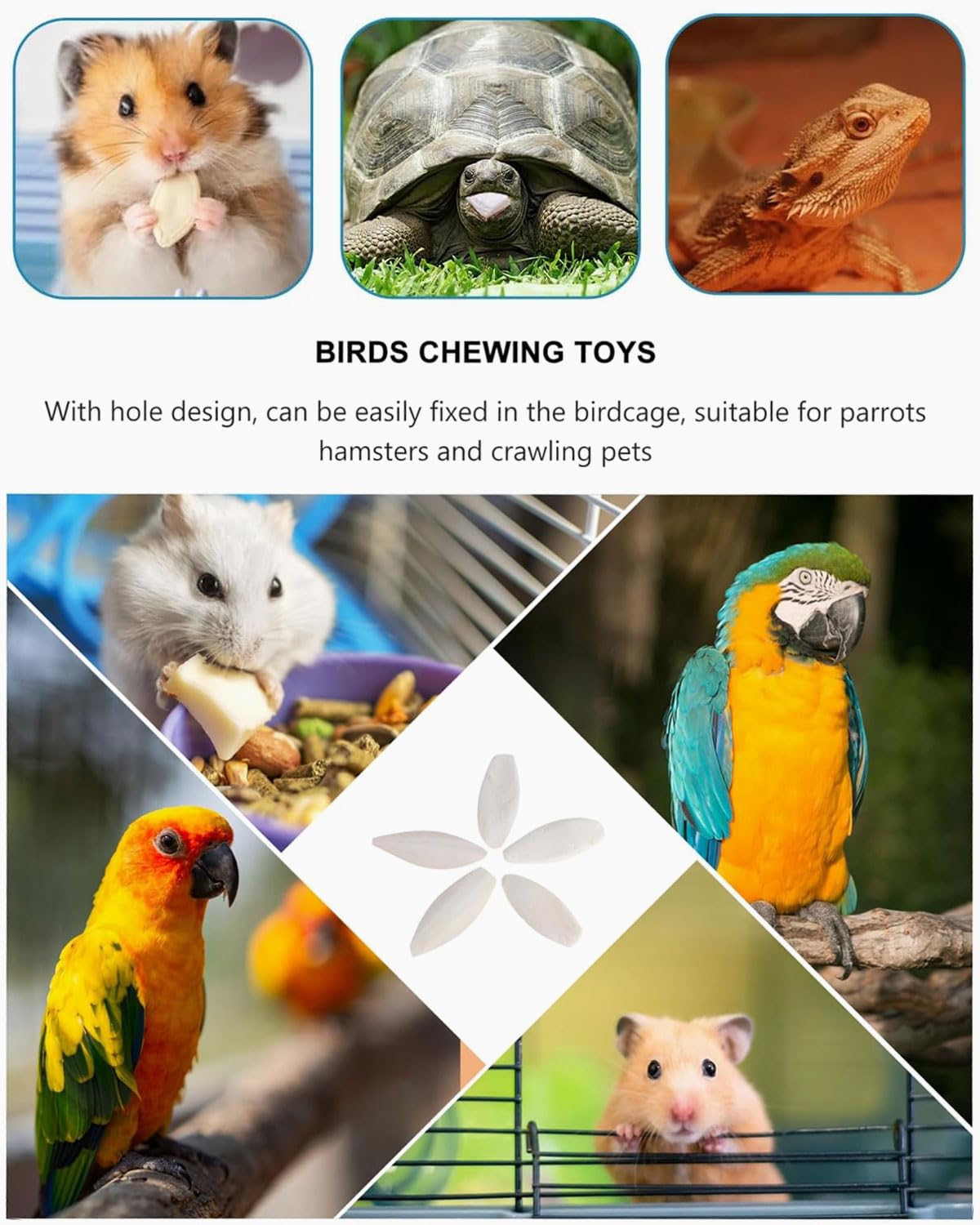 10 pcs os de seiche tortue, 8-10cm, OS de Seiche Tore, Adapté aux Oiseaux, Jouets pour oiseaux, Aux Tortues et aux Reptiles, Peuvent également être Utilisés comme Jouets