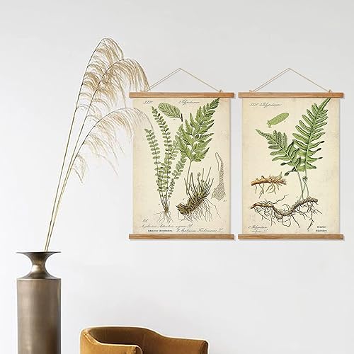 Miniatura 4 de Ovfovy Paquete de 2 pósteres vintage de botánica con marco de madera, estilo retro de pintura artística de pared, póster educativo para sala de