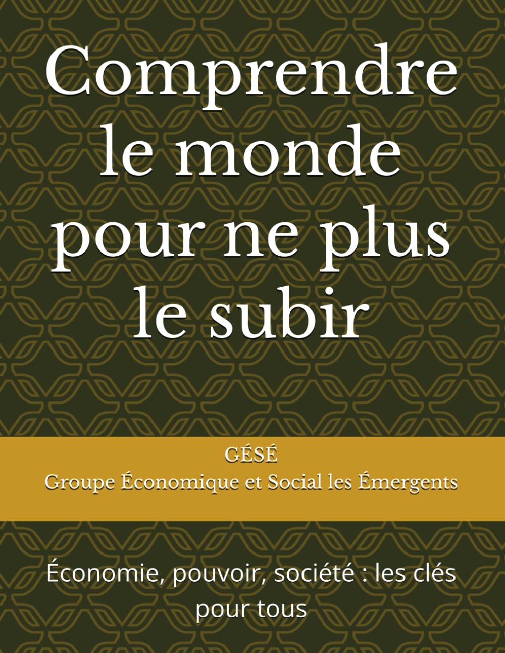 Comprendre le monde pour ne plus le subir: Économie, pouvoir, société : les clés pour tous