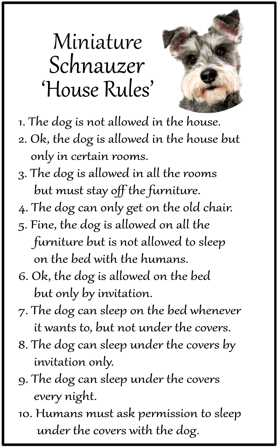Fridge Magnets White Miniature Schnauzer Dog Gift - House Rules - Large Fun Flexible Fridge Magnet- Size 16Cms X 10 Cms (Approx. 6" X4")