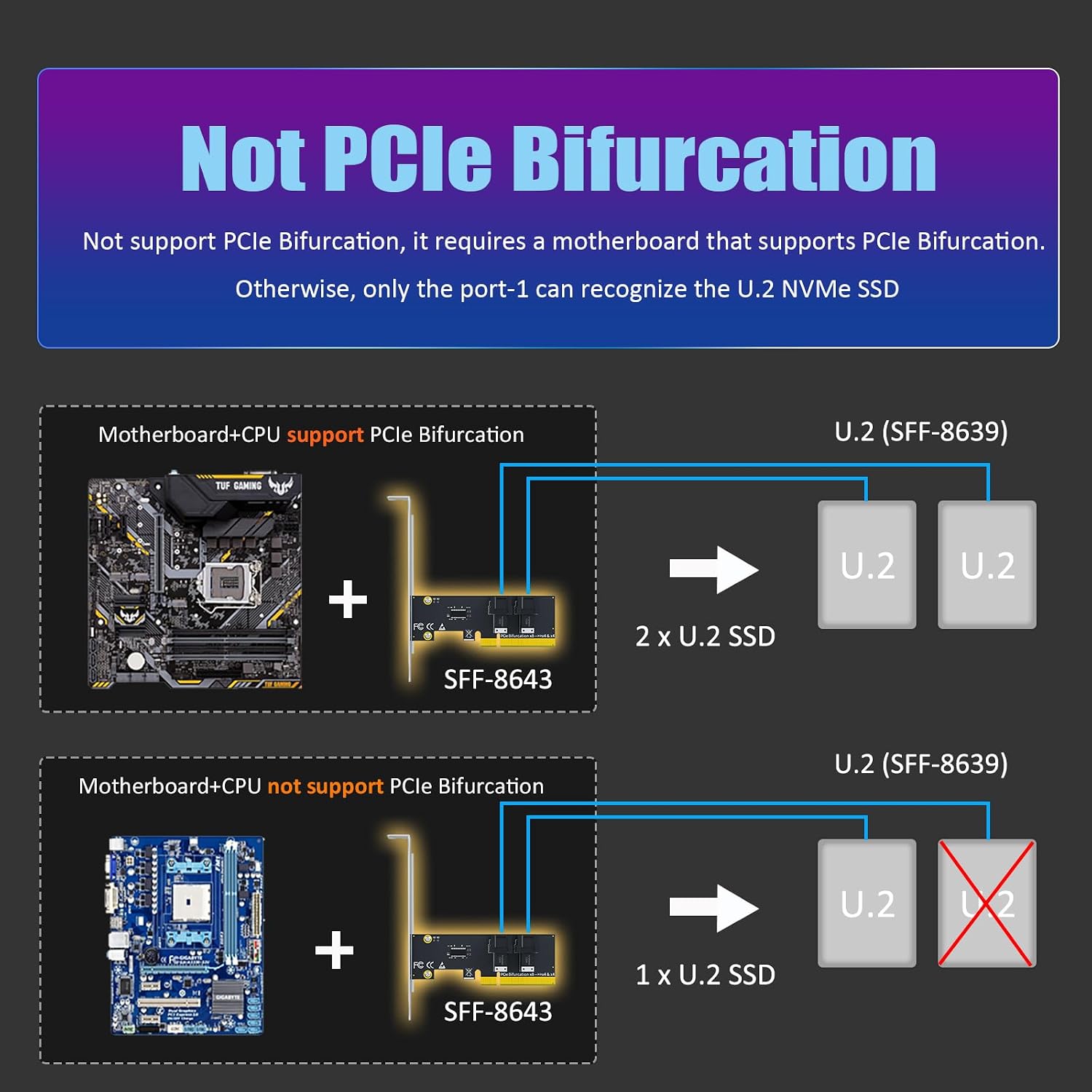 GLOTRENDS SF02 2-Port SFF-8643(Mini-SAS HD) to PCIE 4.0 X8 Adapter Card Without PCIe Bifurcation Function, Regular and Low-profible Bracket