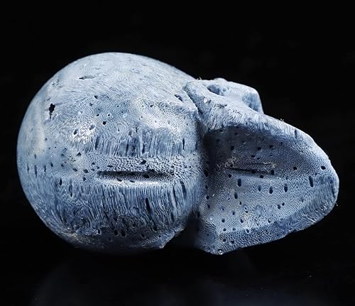Miniatura 8 de 2.0 "esponja azul coral cráneo de cristal, escultura de arte de piedras preciosas talladas a mano, estatua de piedra curativa de Reiki.1388