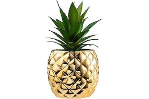 Gilded Elegance: Golden Pineapple Ananas Plant for Home Décor