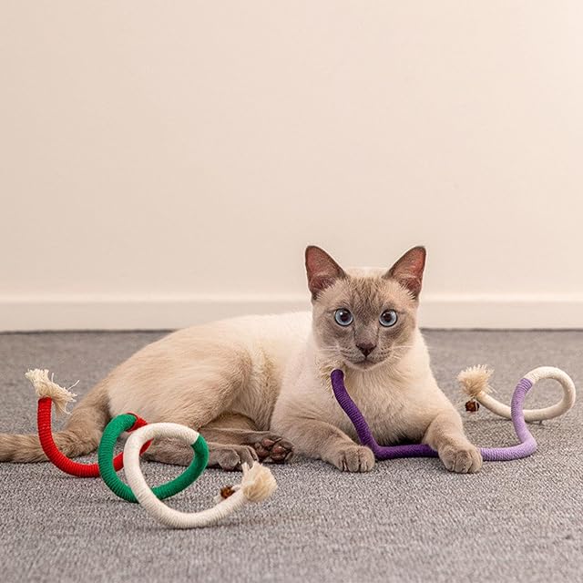 Foto 4 de 6 de CWPFVQA Juguete para Gatos De 3 Piezas, Juguete Interactivo para Gatos, Juguete para Masticar