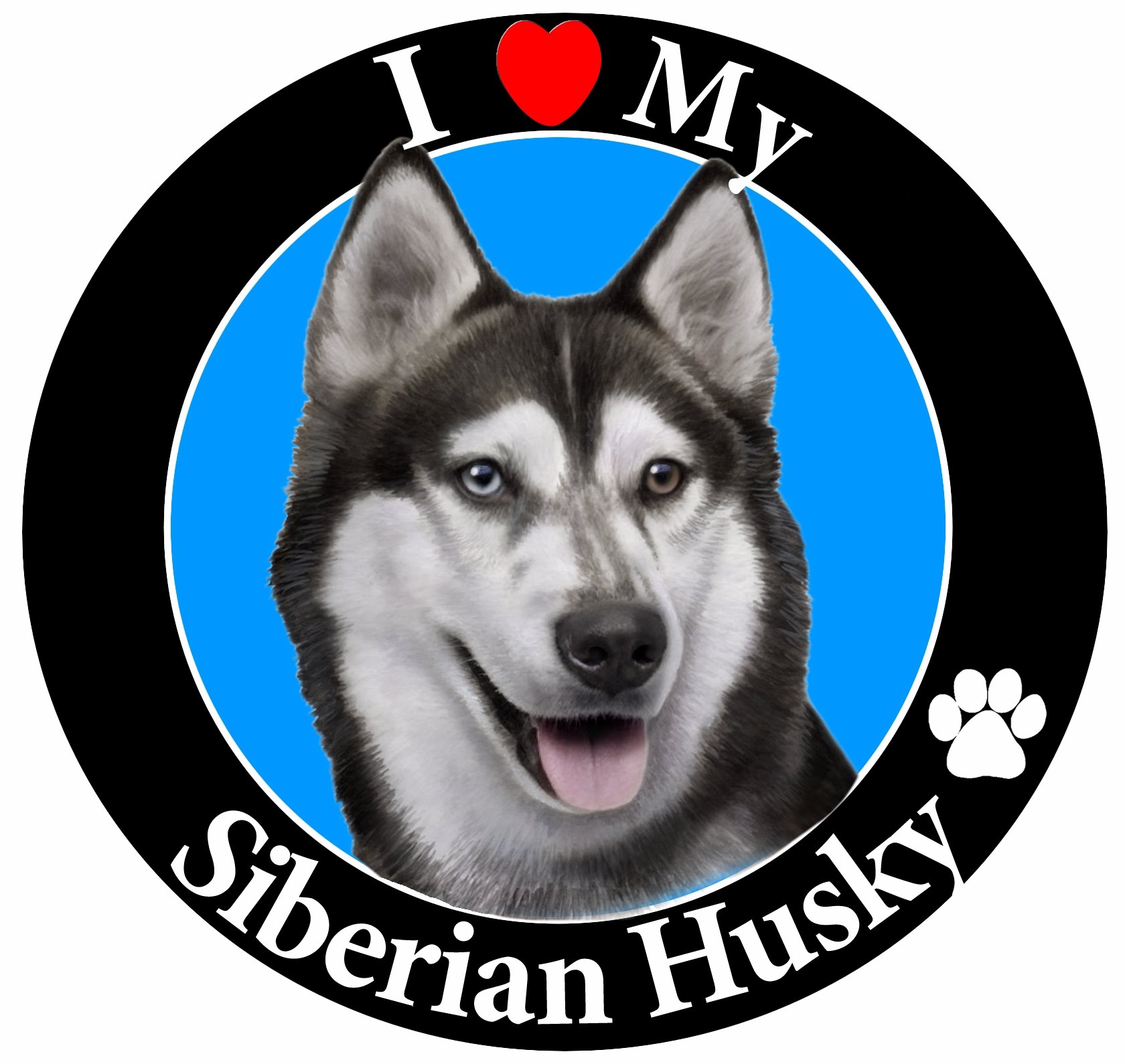 E & S Pets Car Magnet, Siberian Husky