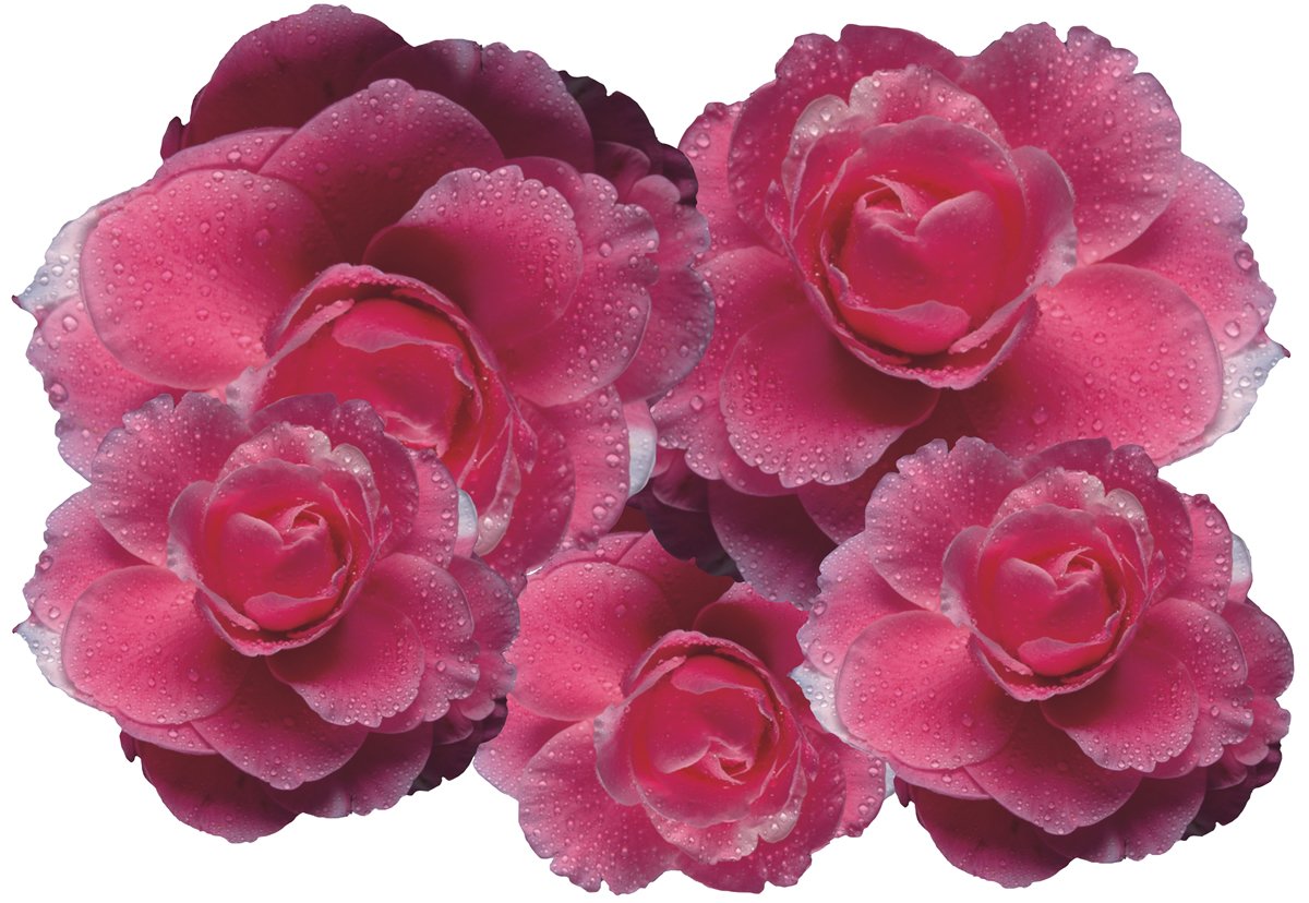 Autocollant Voiture Flower Power Hippie - Set Floral Mat Rétro