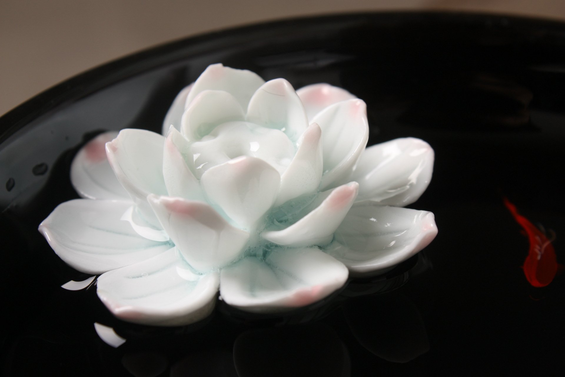 Amazon｜お香立て 蓮の花 池の型 金魚 線香 香炉 陶器 (ブラック 