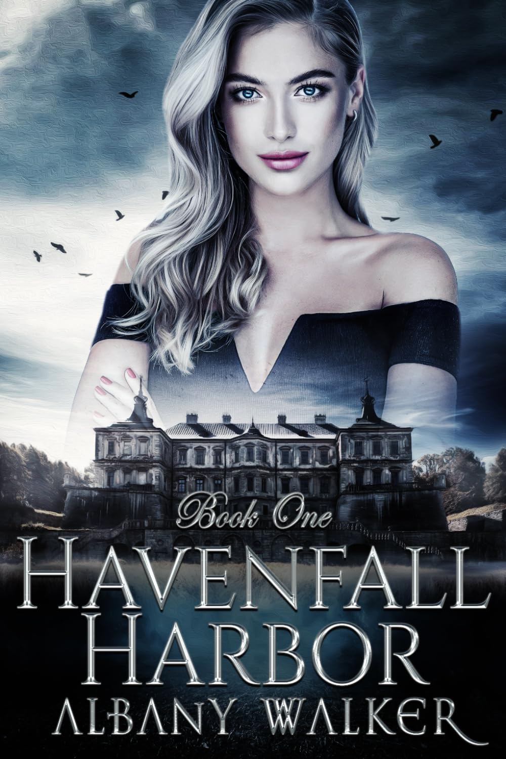 Cover of Havenfall Harbor: Book One