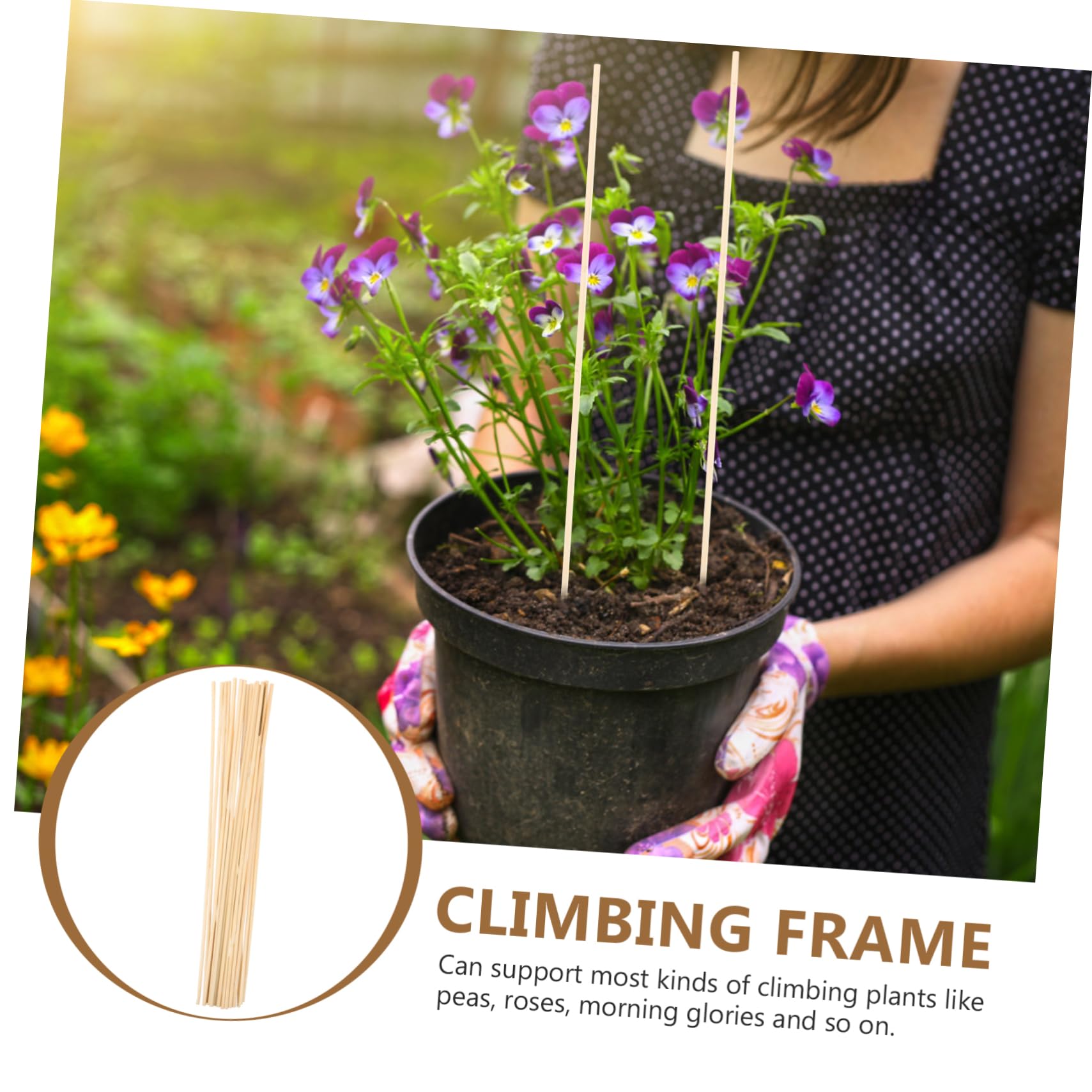 UKCOCO 4 Ensembles Tuteurs De Plantes Lot de Supports pour Plantes Grimpantes Fleurs pour Intérieur Extérieur Stabilité Saine 20 Pièces * 4