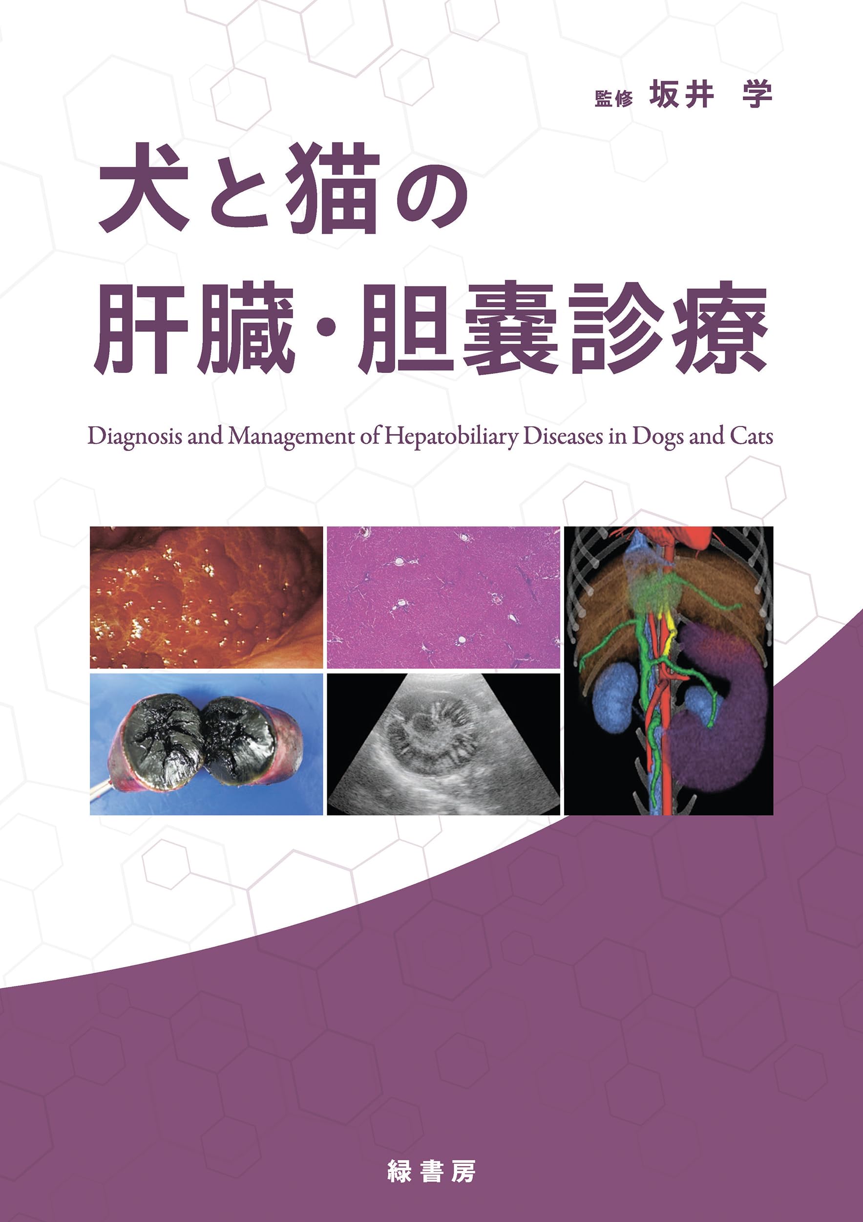 犬猫の肝臓疾患診断治療アプローチ DVD 早期発見に繋げる 犬猫の肝臓疾患 診断治療アプローチ | 医療情報研究