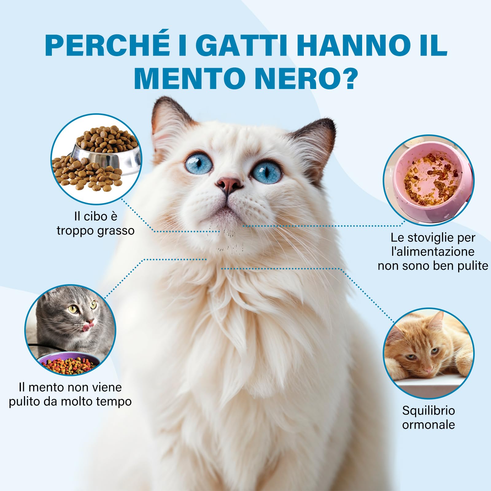 Kit Detergente per Punti Neri del Gatto, 120 ml – Trattamento Delicato ed Efficace per l'acne del Mento con Spazzola in Silicone 2-in-1