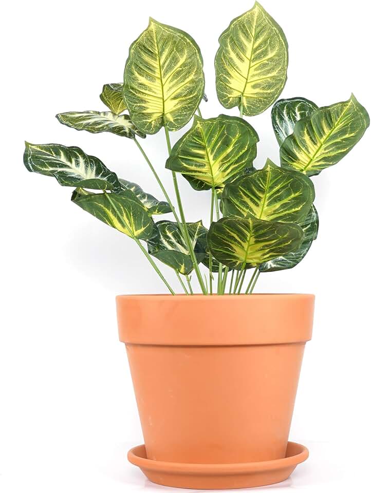 plant pots indoor 12 inch