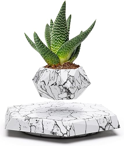 BandD Maceta flotante Maceta levitante para suculentas, bonsái de aire y plantas de aire Maceta flotante para decoración de hogar, oficina y BandD Maceta flotante Maceta levitante para suculentas, bonsái de aire y plantas de aire Maceta flotante para decoración de hogar, oficina y