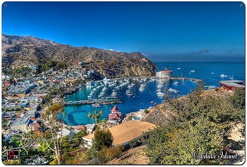 Losea Island View Catalina Island - Letrero de metal para pared, decoración de pared para sala de estar, arte vintage, cafetería, decoración del