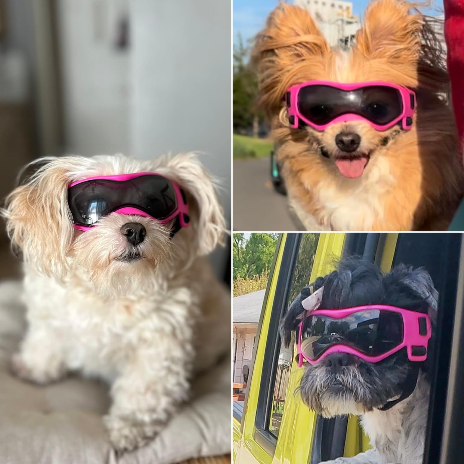 Namsan Gafas para perros de razas pequeñas, protección UV para perros pequeños, lentes de sol para cachorros, resistentes al viento, a prueba de polvo, protección ocular para conducir, ajustables
