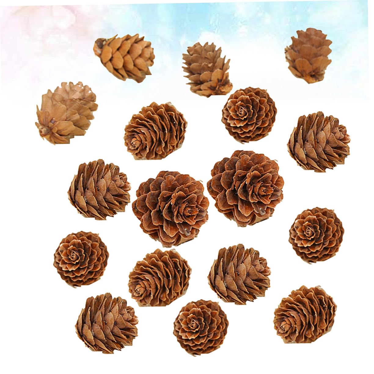 210piezas Decoraciones De Piñas Naturales Secas De Piñas De Adorno Vegetal para Acción De Gracias y Navidad para Decoración De Hogar