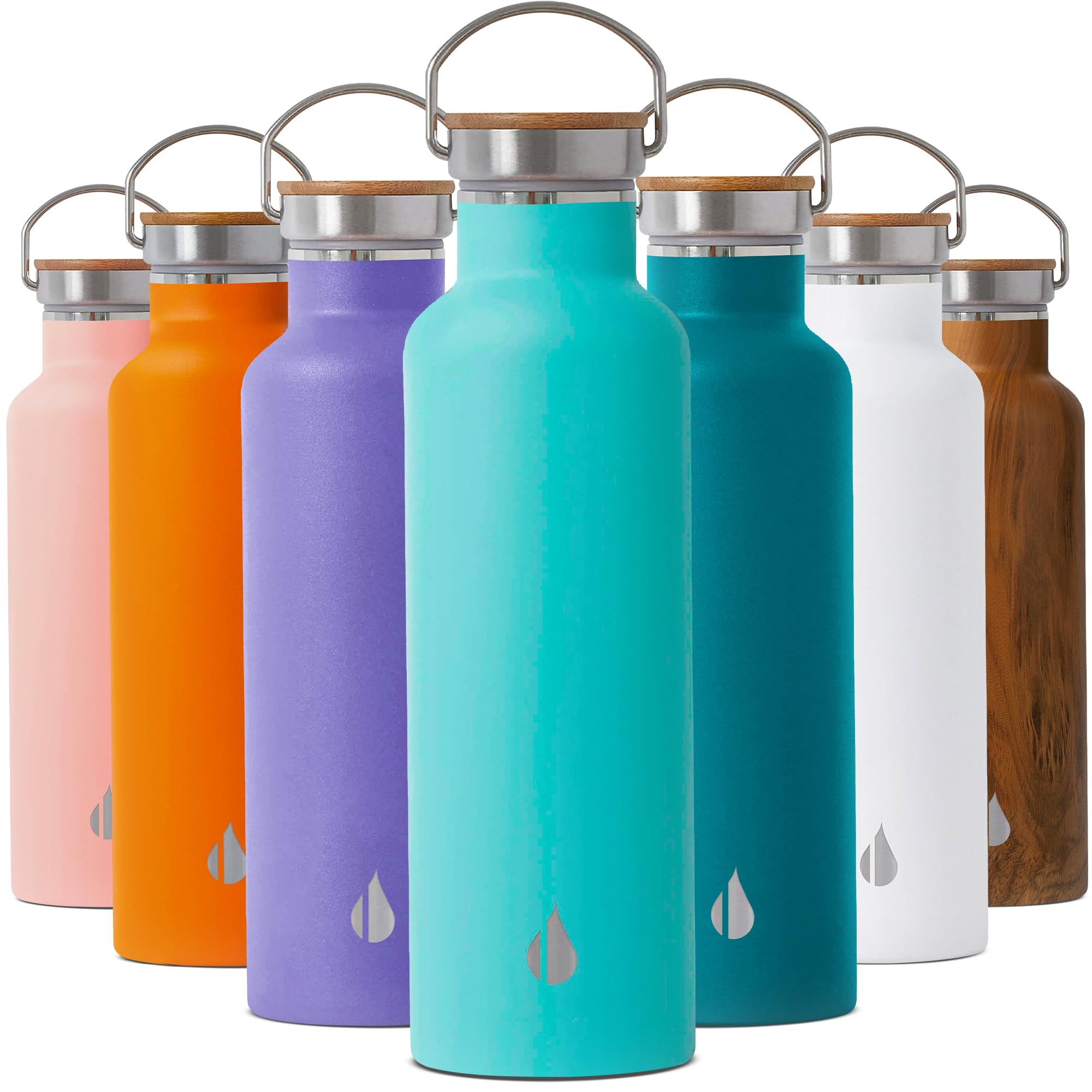 Elemental Classic Stainless Steel Water Bottle - 25oz Leak Proof Double Wall Insulated Water Bottle for Travel, Gym, Sports and Hydration - Thermos Water Bottles with Bamboo Lid - Robin's Egg