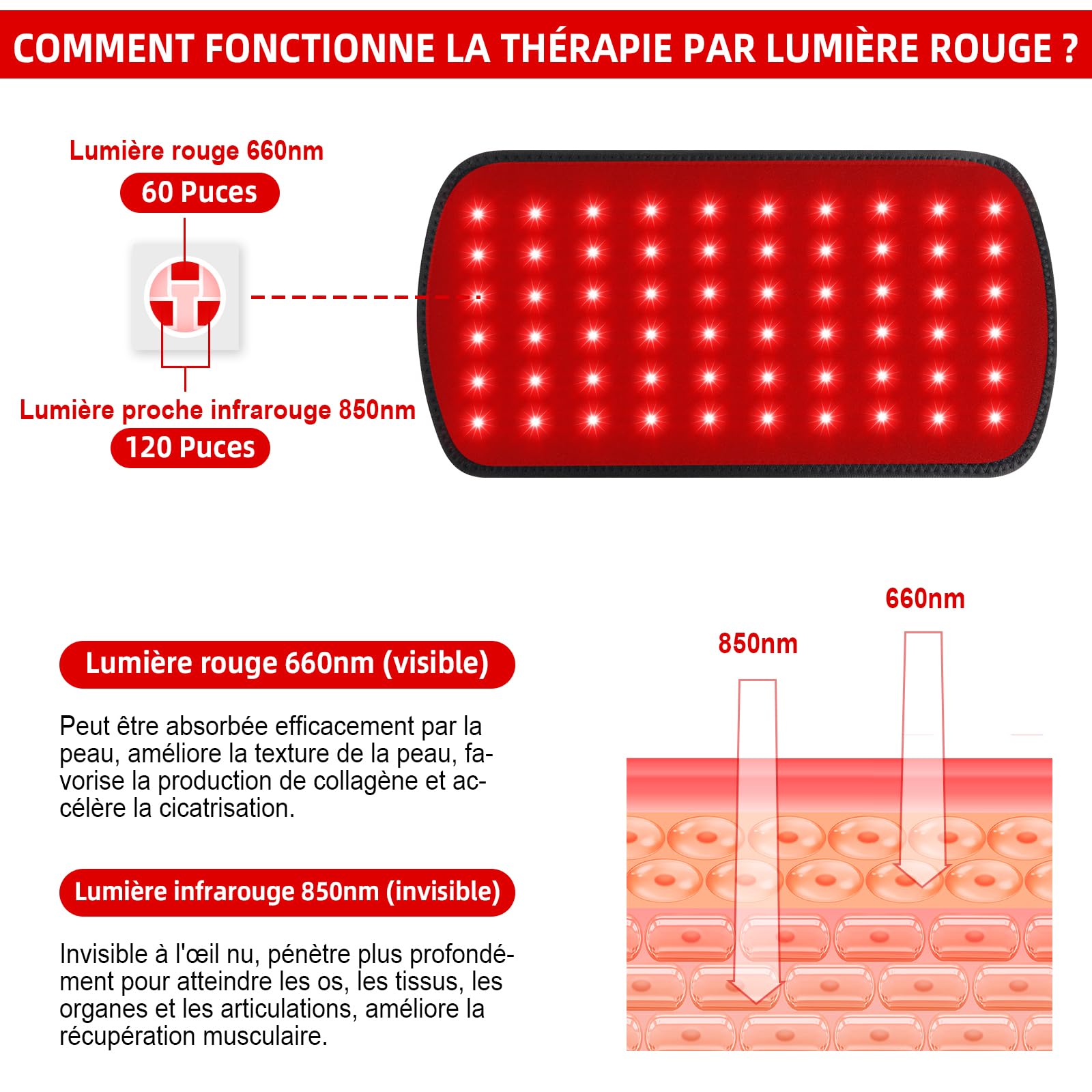 Ceinture lumière rouge Tunansx, infrarouge proche douleurs dorsales, enveloppe LED 660nm 850nm, dispositif lumière rouge portable genou articulations, cadeau bien-être maison hommes femmes