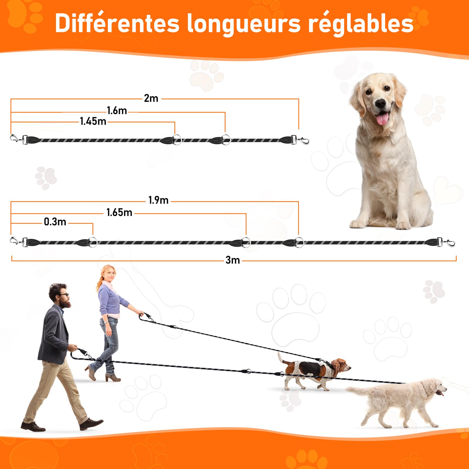 Aystkniet Laisse Multifonctionnelle 3M pour Chien, Laisse Dressage Réglable Adaptée aux Chiens de Taille Moyenne à Grande, Laisse Robuste en Nylon pour 2 Chien, Force extrême jusqu'à 250kg, 12mm