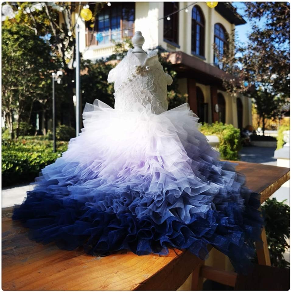 Handmade Dog Clothes Dog Princess Dress Lace Vast Ocean Blue Gradient Tulle Skirt Chapel Train Pet Trailing Gown (Large)