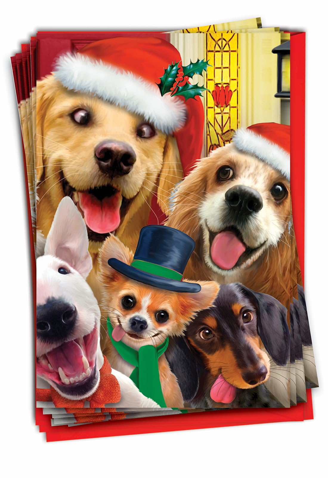 Feliz Navidad a Zoo Navidad humor Tarjeta, color 12 Christmas Card Pack (SKU:B6652GXSG) 12 Christmas Card Pack (SKU:B6652GXSG)