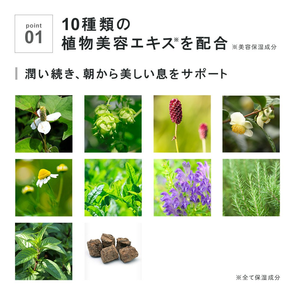Amazon.co.jp: diem ディエム ボタニカルマウスウォッシュ ローズ