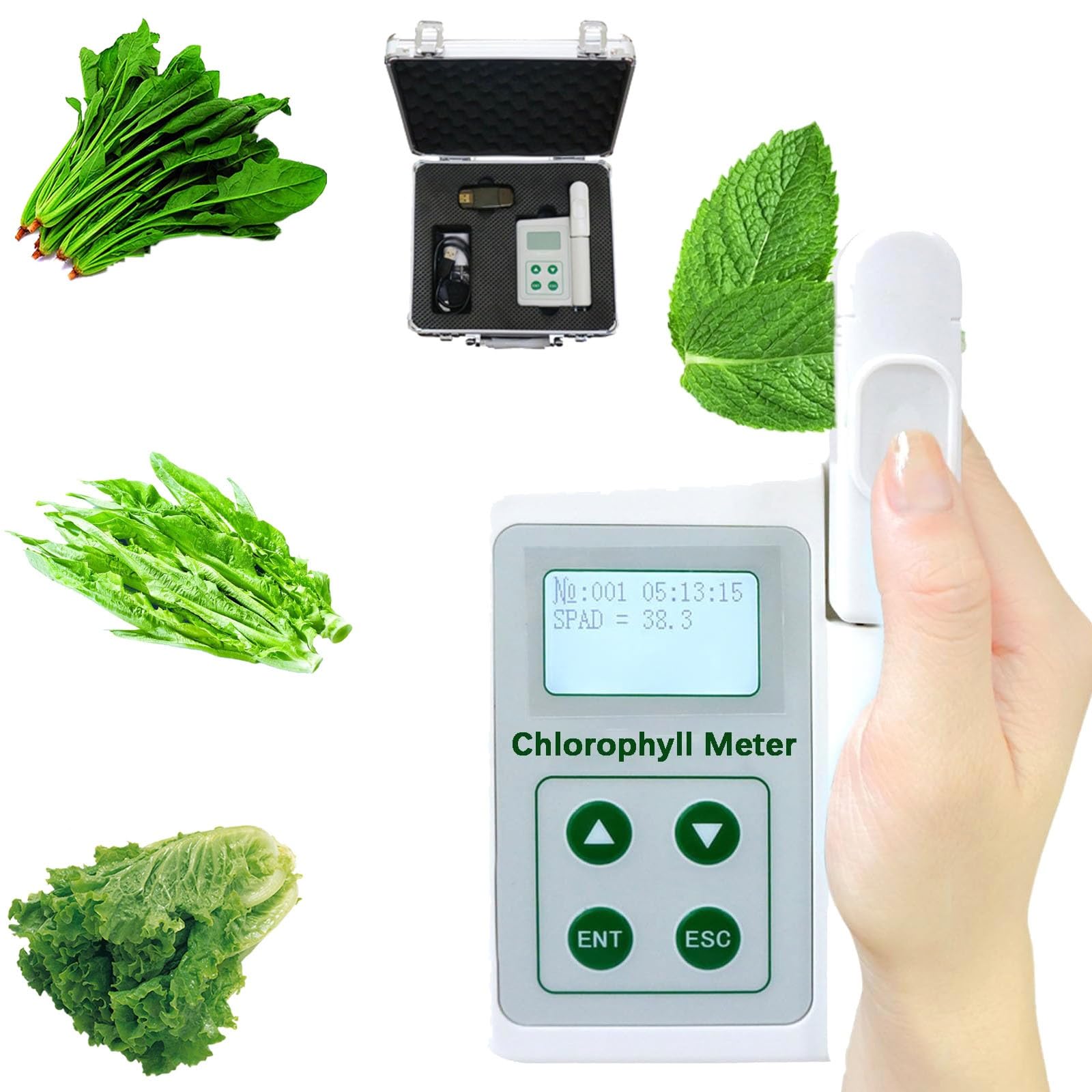Chlorophylle portable, analyseur de chlorophylle portable, mesure précise de la spad, surveillance de la température des feuilles, for les instituts de recherche agricole