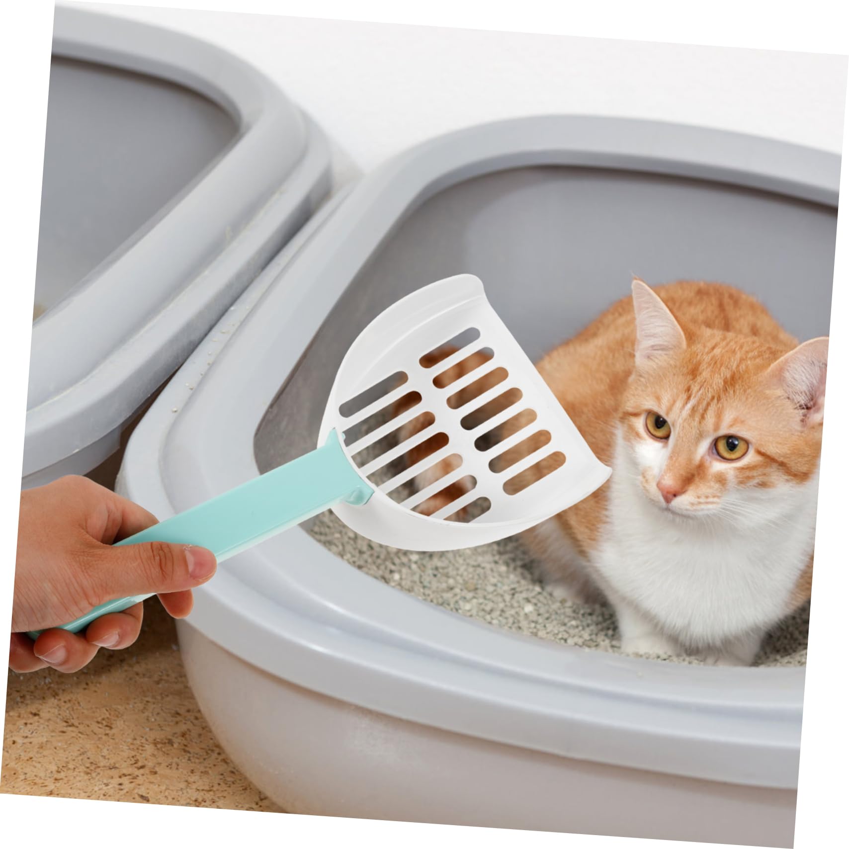 Mipcase 5 Pièces Pelle À pour Chat Manche Long Pelle À Chats Pelles Profondes Filtre À pour Animaux De Compagnie Pelle À pour Animaux De Compagnie Pelle De
