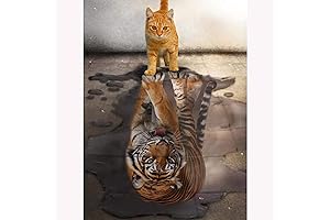 SKRYUIE 5D Cat Tiger Diamond Painting