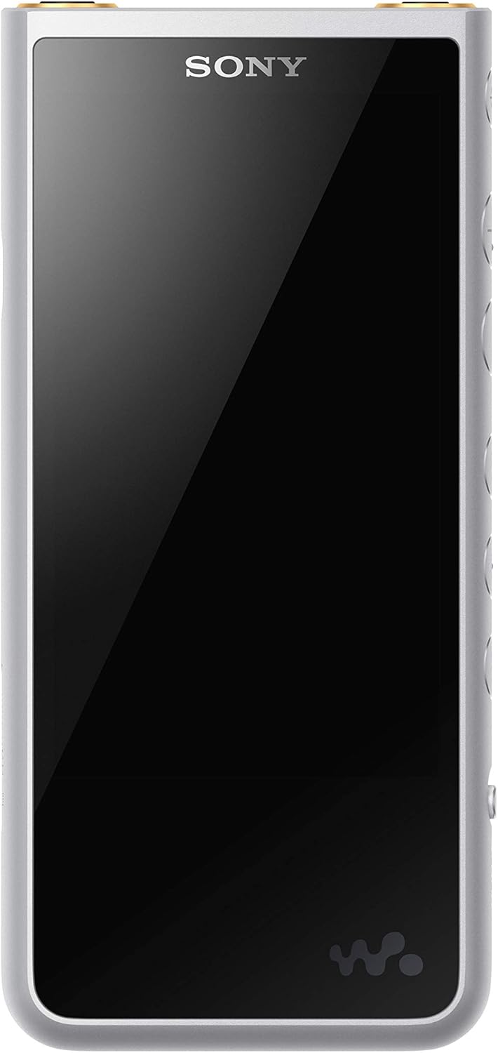Sony NW-ZX507/S Walkman Hi-Res 64GB MP3 Player, Silver : Electronics