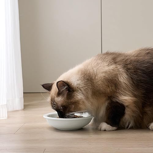 Miniatura 3 de Tazones de cerámica más gruesos para comida y agua para gatos, 3 unidades, platos para gatos sin estrés, alivia la fatiga, plato de comida poco