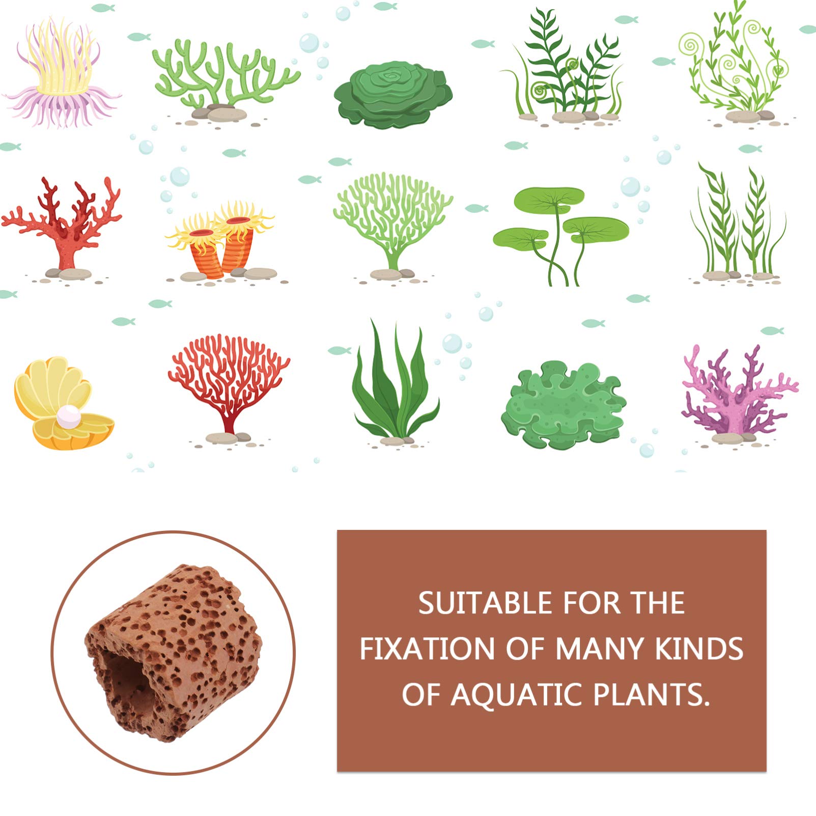 Underwater Plants With Names