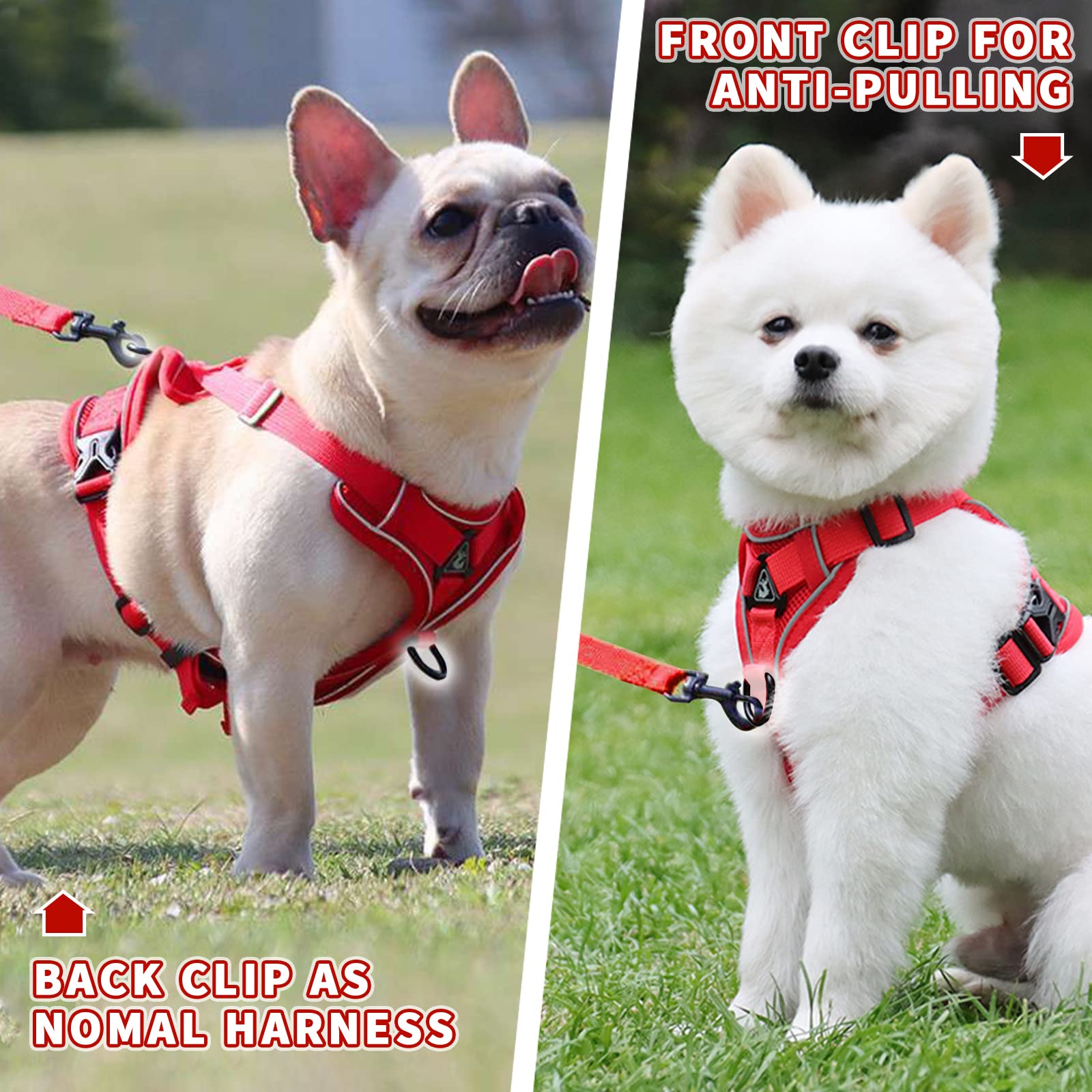 TENGZHI Breathable Mesh Dog Harness & Leash Set - Reflective, Escape-Proof For Small/Medium Dogs