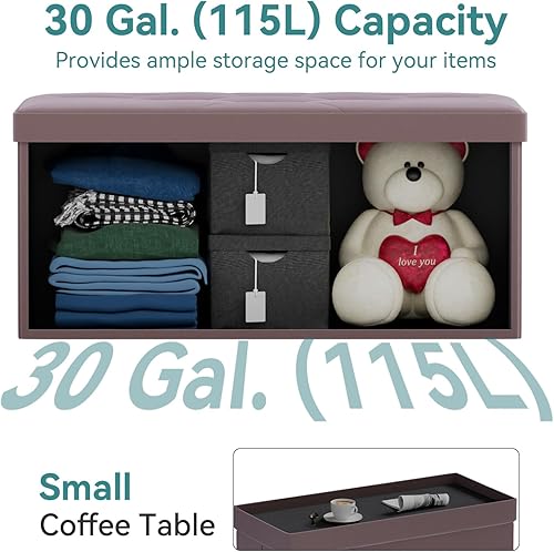 Miniatura 76 de BRIAN & DANY Banco otomano plegable de almacenamiento, otomana con almacenamiento, reposapiés, asiento para dormitorio, sala de estar, entrada,