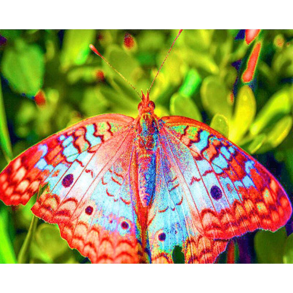 Broderie diamant 5D papillon rouge coffret DIY point de croix idée cadeau créatif