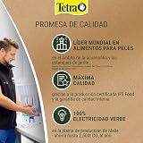 Ver la foto 7