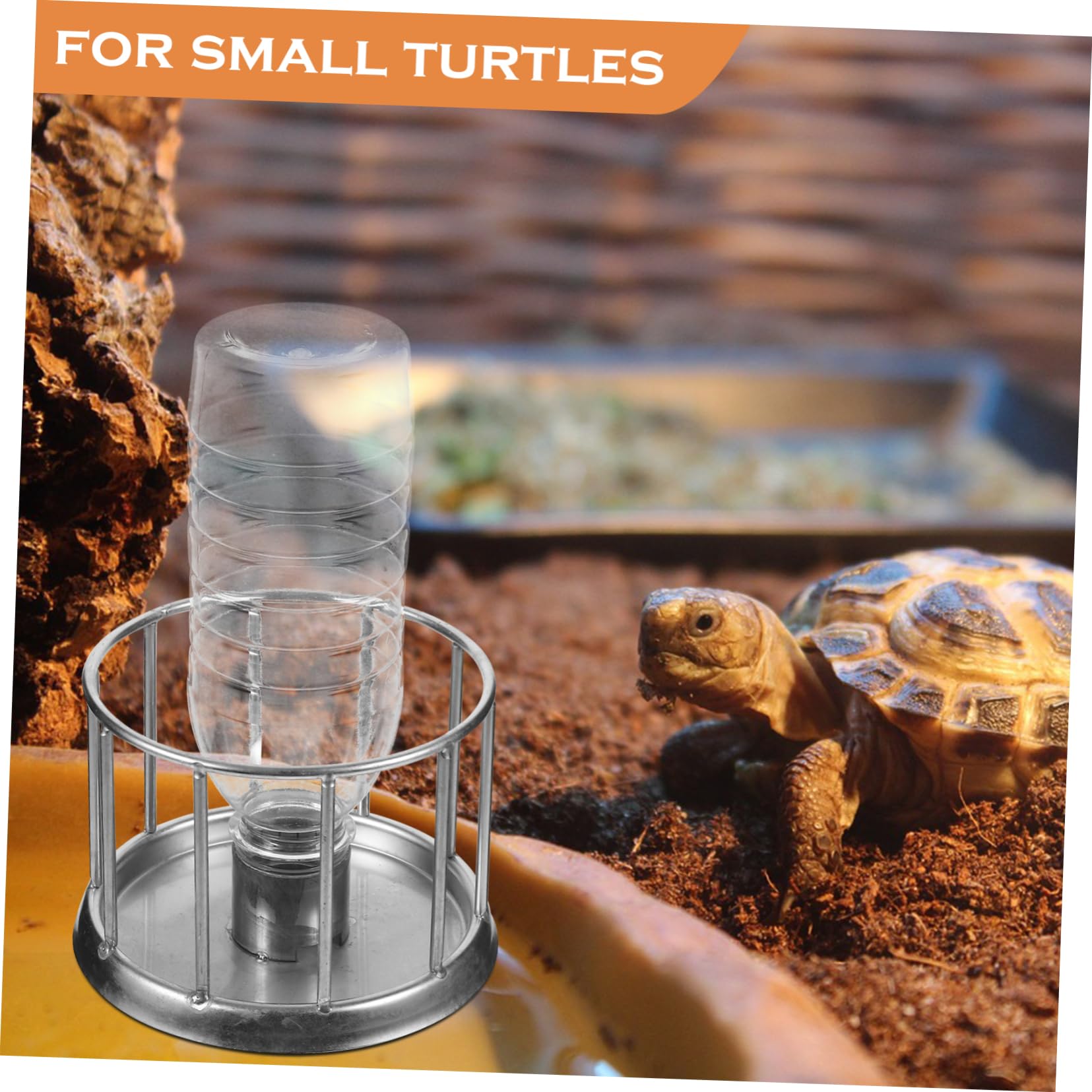 BESPORTBLE 4piezas Mini Comedero De Agua para y Reptiles Cuenco De Acero Inoxidable para Terrario Alimentador Multifuncional para Mascotas Pequeñas para y Lagartos