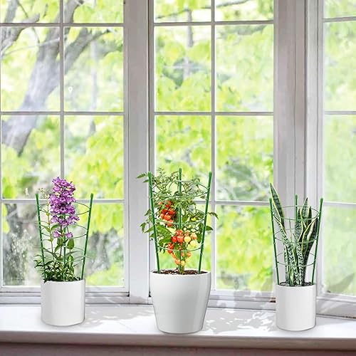 Miniatura 4 de Jaula de tomate con soporte para plantas de jardín, enrejado mejorado para plantas trepadoras, kits de enrejado para plantas (paquete de 2 - 18)