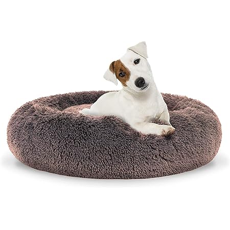 amazon dog calming bed