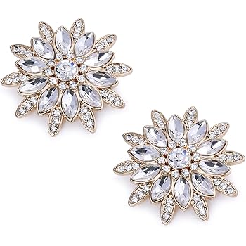 elegantpark shoe clips