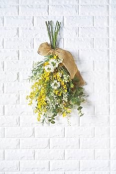 置物 mimosa Amazon.com - 9