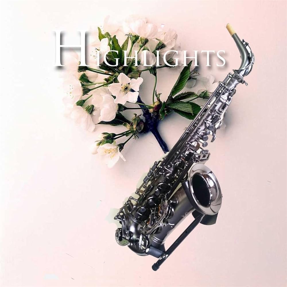 アート・デザイン・音楽 LLICA S&M HIGHLIGHTS Amazon.co.jp: Highlights: ミュージック