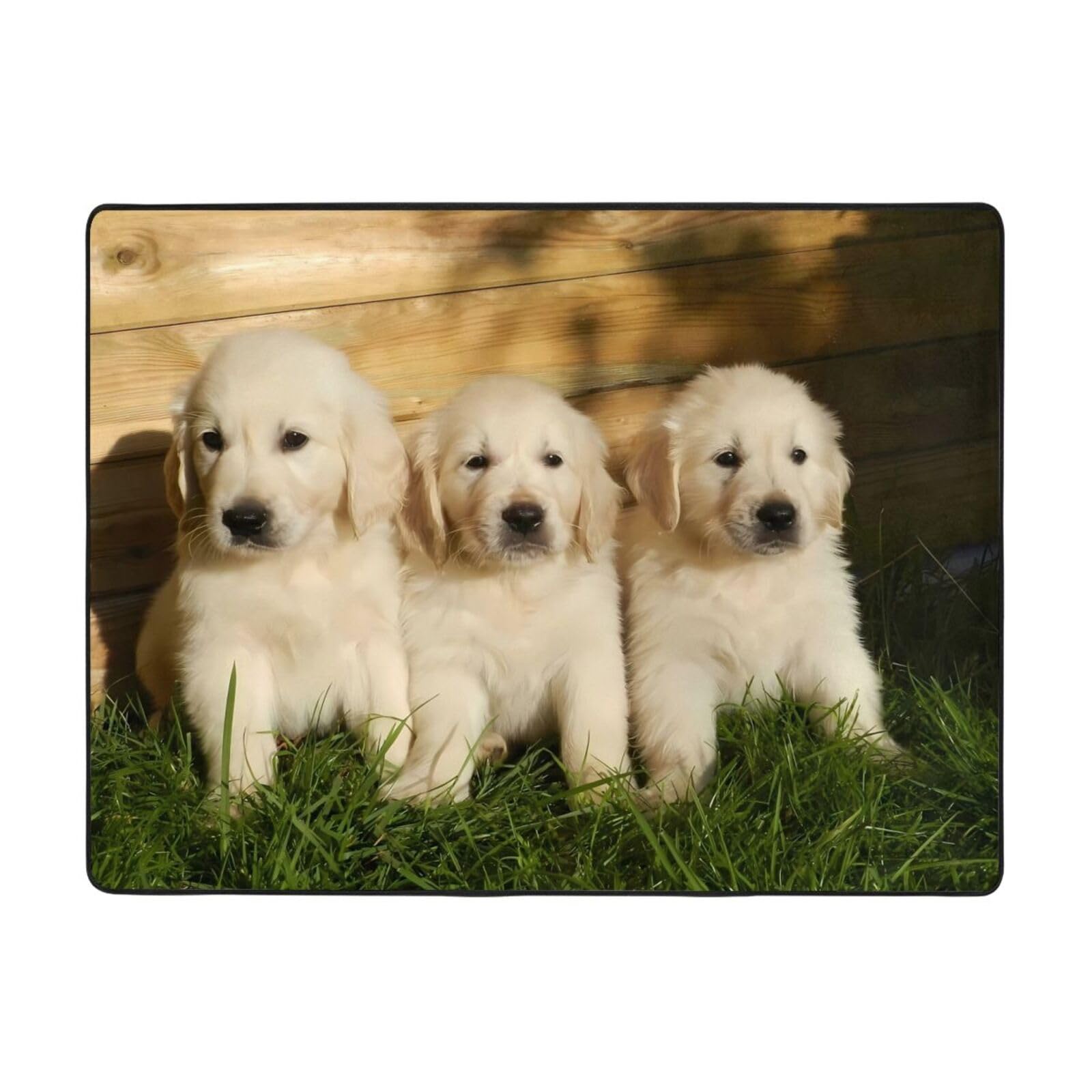 Amazon | カーペット ラグマット 3匹のゴールデンレトリバーの子犬 多