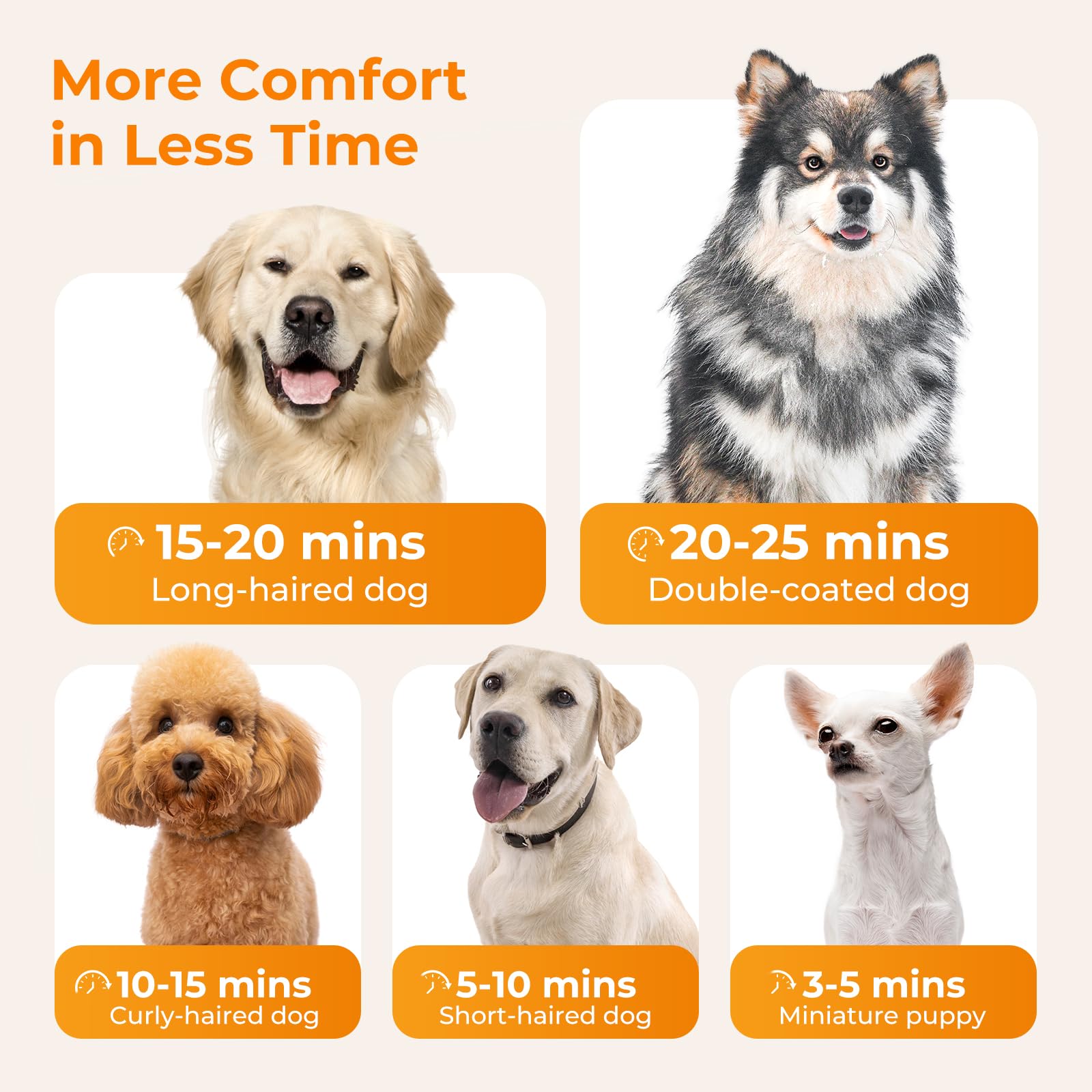 pecute Asciugatore per Cani Blower Molto Silenzioso, Soffiatore per Cani a Velocità Regolabile - con Modalità Caldo/Freddo, Phon Cane con 4 Diversi ugelli, Tubo Elastico e Spazzola la Cura