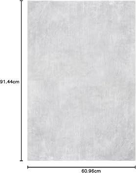 nuLOOM Loni Solid Machine Washable Shag Accent Rug, 2x3, Light Gray