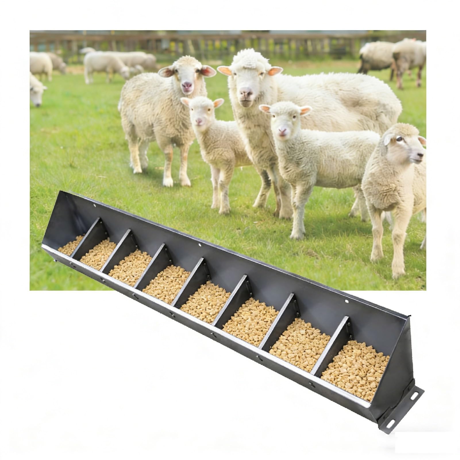 Abreuvoir grande capacité en acier inoxydable pour bovins et chevaux