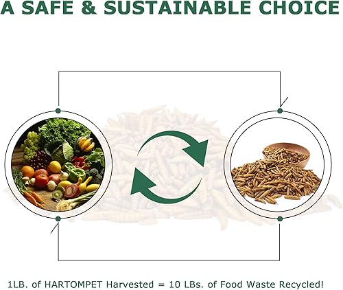 Miniatura 6 de Larvas BSF secas para pollos  Suplemento de alimentación para aves de corral sin OMG, 85 veces más calcio que los gusanos de la harina, gusanos de